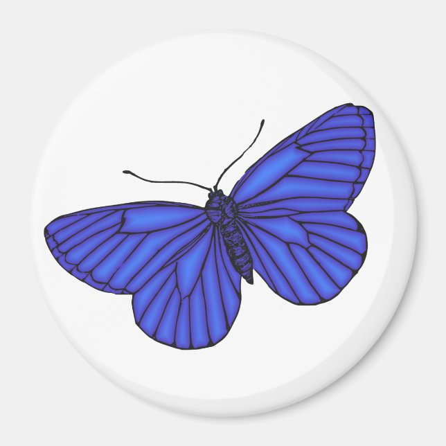 Blue Butterfly Magnet (Framsidan)