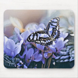 Blue Butterfly Musmatta
