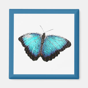 Blue Butterfly Nature Art, Bra Photo Illustration Magnet