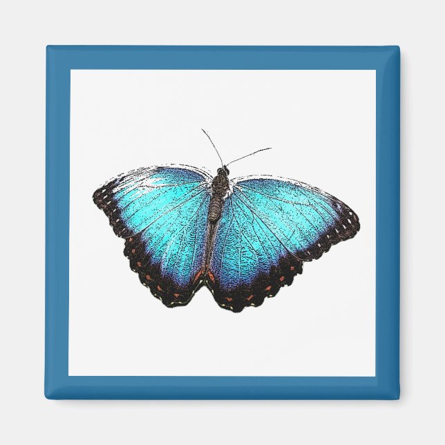 Blue Butterfly Nature Art, Bra Photo Illustration Magnet (Framsidan)