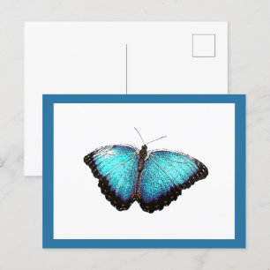 Blue Butterfly Nature Art, Bra Photo Illustration Vykort