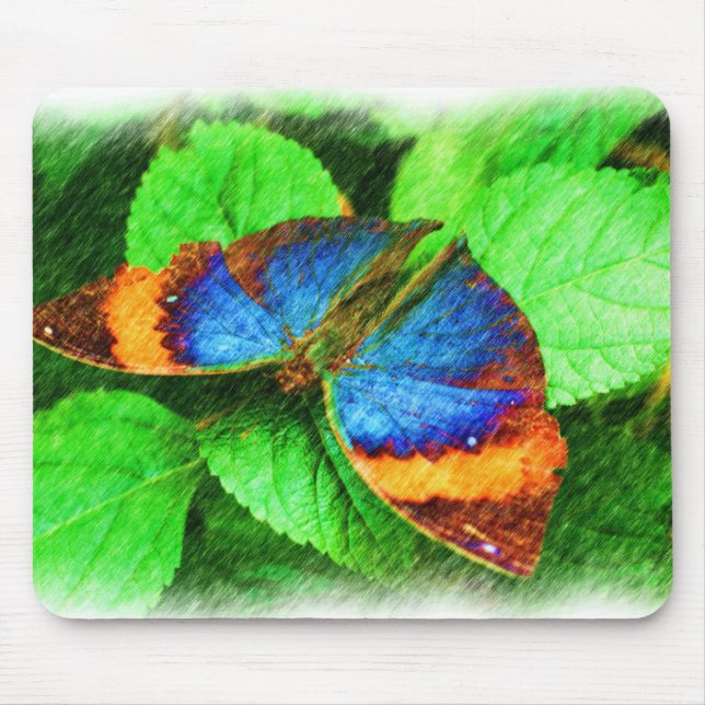 Blue Butterfly Pencil Art Musmatta (Framsidan)