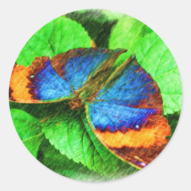 Blue Butterfly Pencil Art Runt Klistermärke (Framsida)