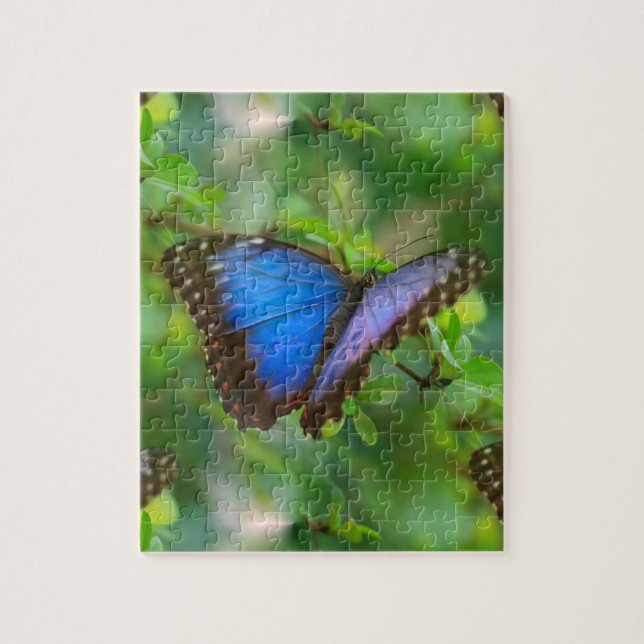 Blue Butterfly Pussel (Vertikal)
