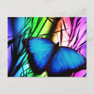 Blue Butterfly Rainbow Vykort