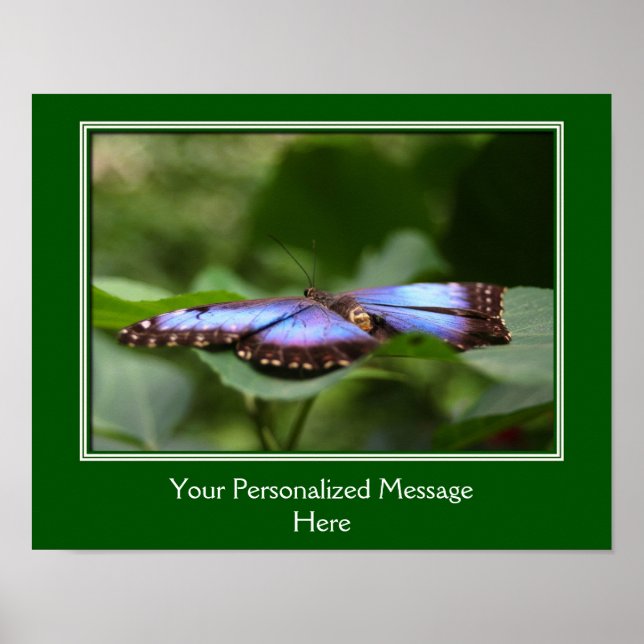 Blue Butterfly Skapar din egen offert Poster (Framsidan)
