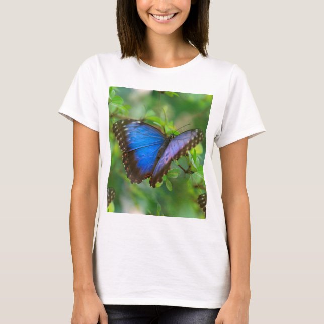 Blue Butterfly T Shirt (Framsida)
