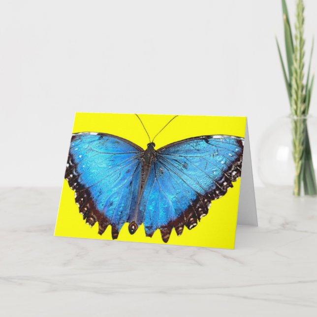 Blue Butterfly Tack Kort (Framsida)