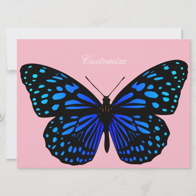 Blue Butterfly Thunder_Cove (Framsida)