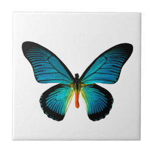 Blue Butterfly Tile Kakelplatta