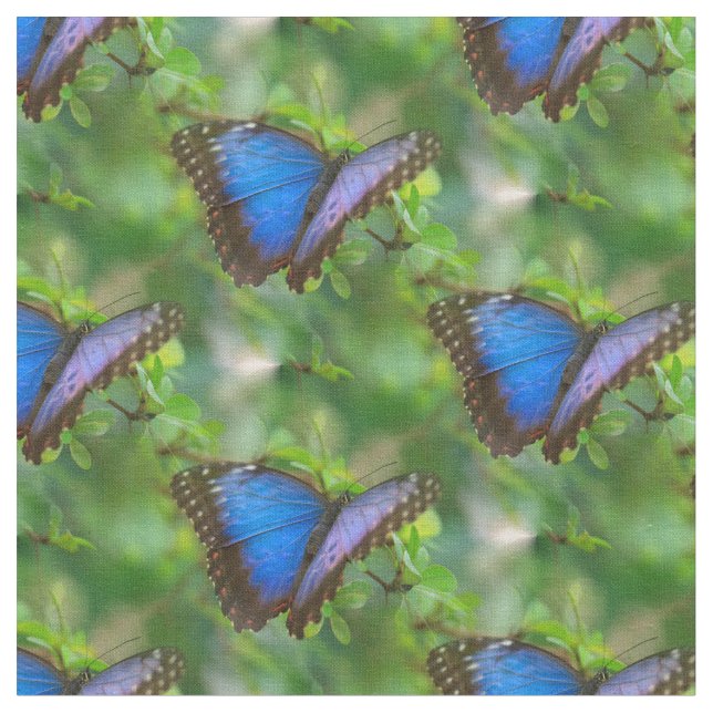 Blue Butterfly Tyg (Närbild)