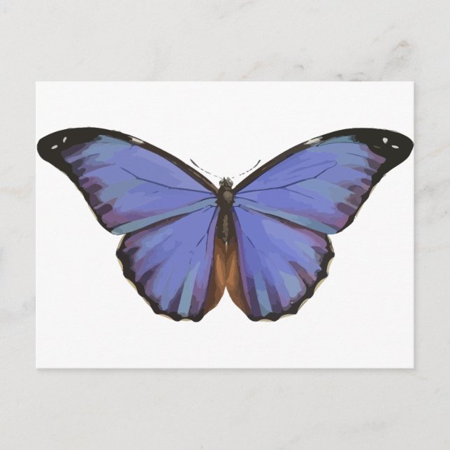 Blue Butterfly Vykort (Framsida)