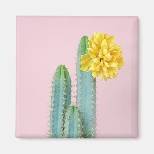 Blue Cactus Trio Magnet (Framsidan)