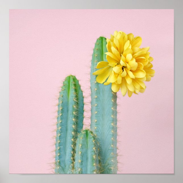 Blue Cactus Trio Poster (Framsidan)