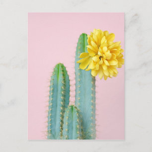 Blue Cactus Trio Vykort