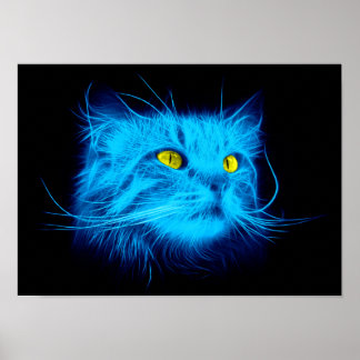 Blue Cat Ansikte Poster