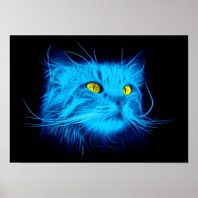 Blue Cat Ansikte Poster (Framsidan)