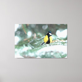 Blue Chickadee on Grönt Spruce Träd Canvastryck