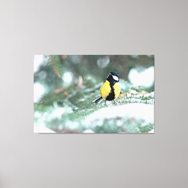 Blue Chickadee on Grönt Spruce Träd Canvastryck (Framsida)