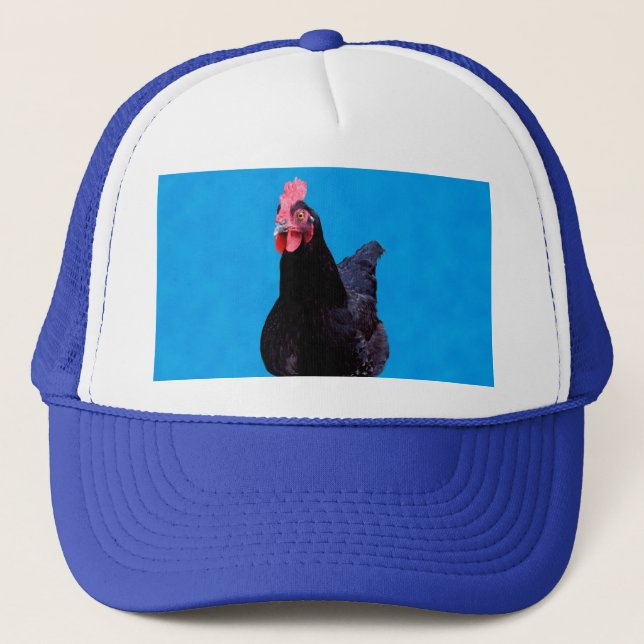 Blue Chicken Strut, Hat Keps (Framsida)
