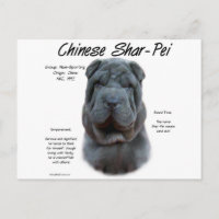Blue Chinese Shar Pei History, Sharpei, Shar-pei