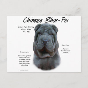 Blue Chinese Shar Pei History, Sharpei, Shar-pei Vykort