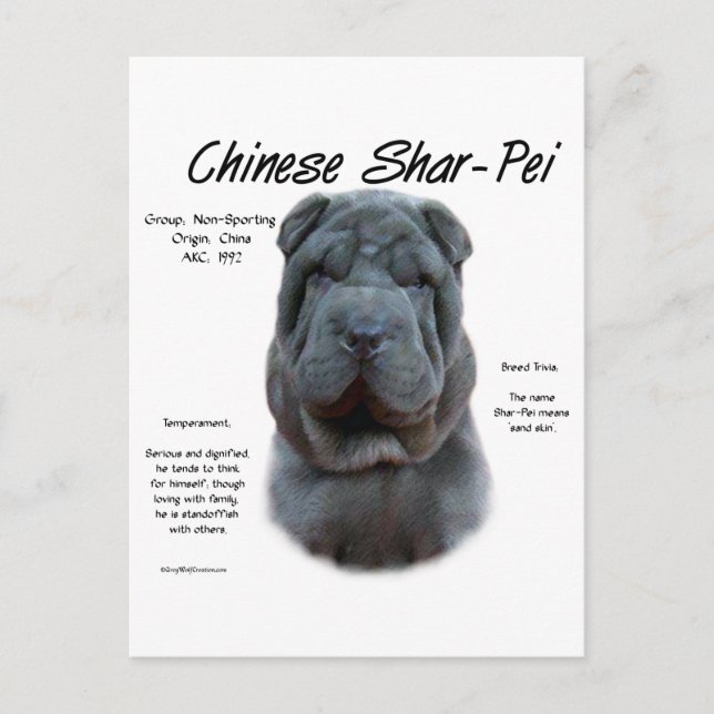 Blue Chinese Shar Pei History, Sharpei, Shar-pei Vykort (Framsida)