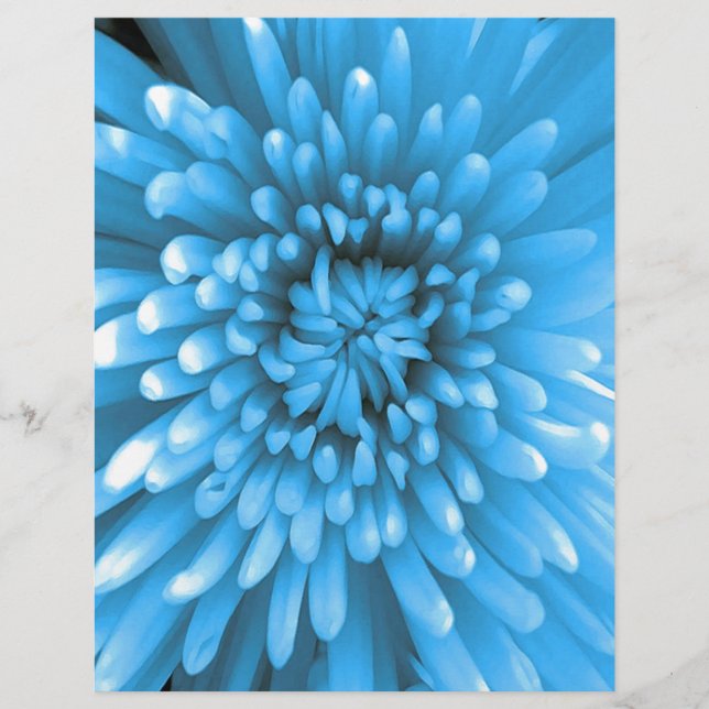 Blue Chrysanthemum (Framsida)