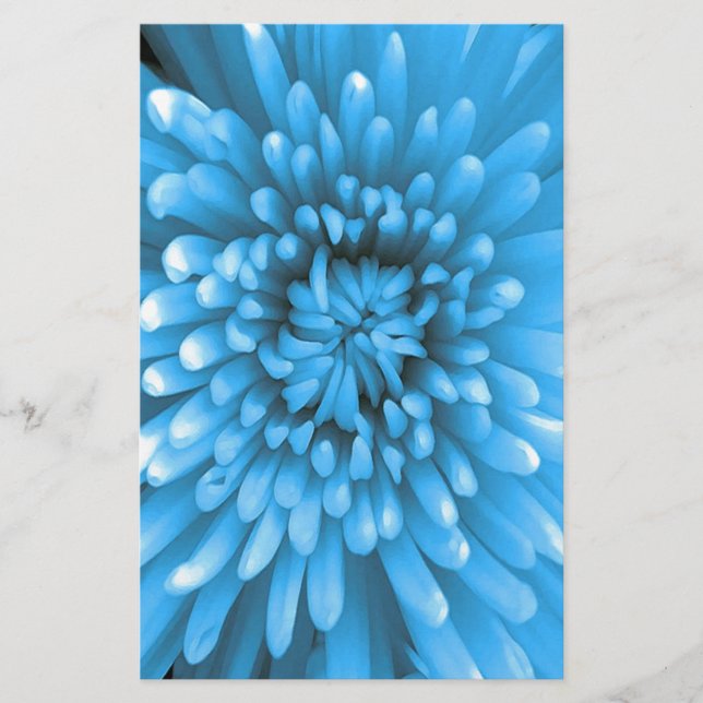 Blue Chrysanthemum Brevpapper (Framsida)