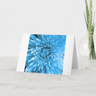 Blue Chrysanthemum Kort