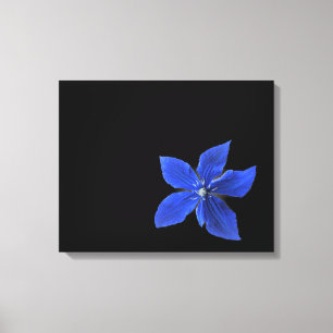 Blue Clematis på Black Wrapped Canvas