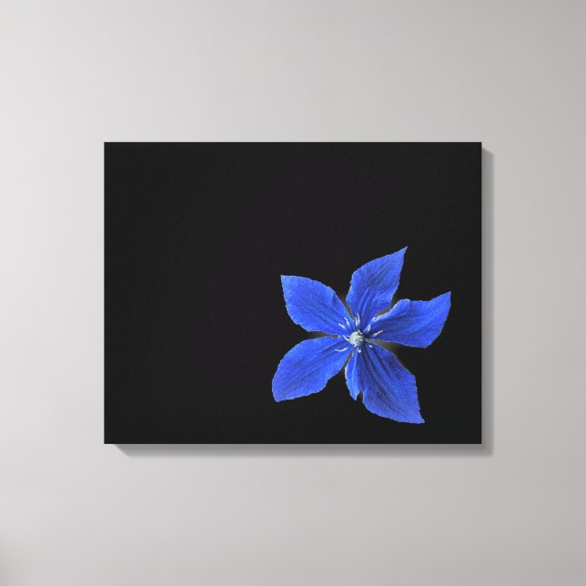 Blue Clematis på Black Wrapped Canvas (Framsida)