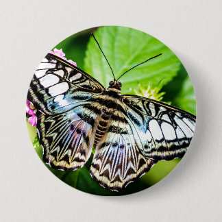 Blue Clipper Butterfly Butterfly Butterfly Button Knapp