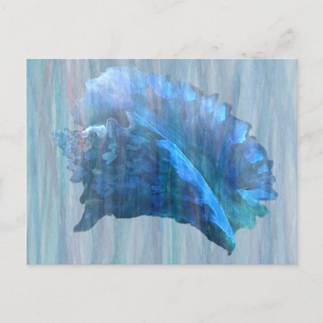 Blue Conch Seashell Art Vykort (Framsida)