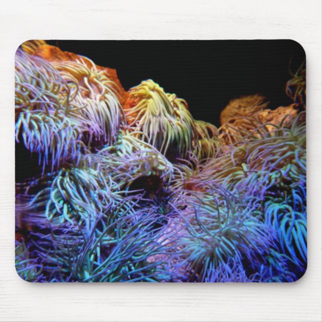 Blue Coral Mousepad Musmatta (Framsidan)