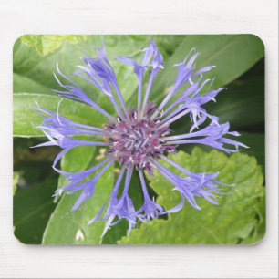 Blue Cornblomma Mousepad Musmatta