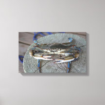 Blue Crab Chesapeake Bay Canvas Art