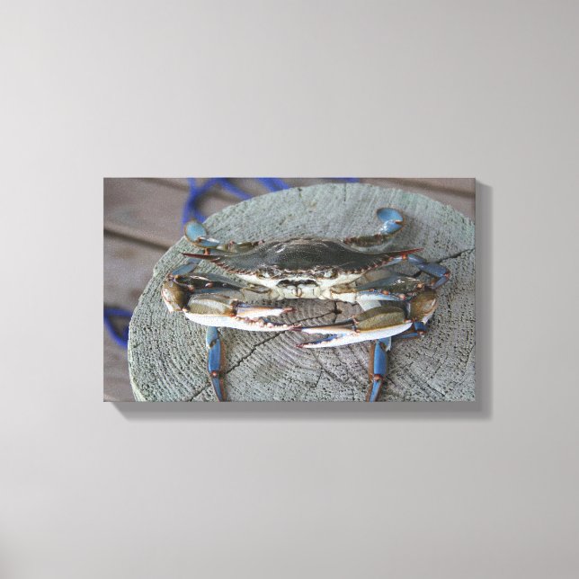 Blue Crab Chesapeake Bay Canvas Art (Framsida)