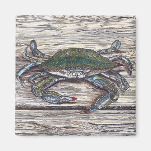 Blue Crab på Dock Magnet
