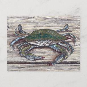 Blue Crab på Dock Vykort