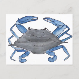 Blue Crab Postcard Vykort