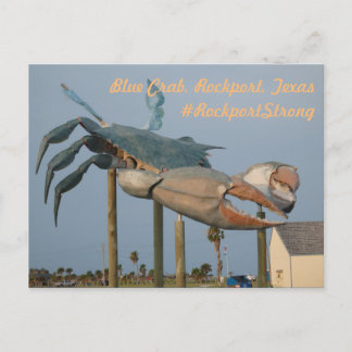 Blue Crab - Rockport, Texas Vykort