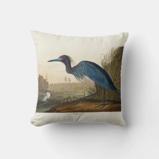 Blue Crane eller Heron, 1836, The Birds of America Kudde