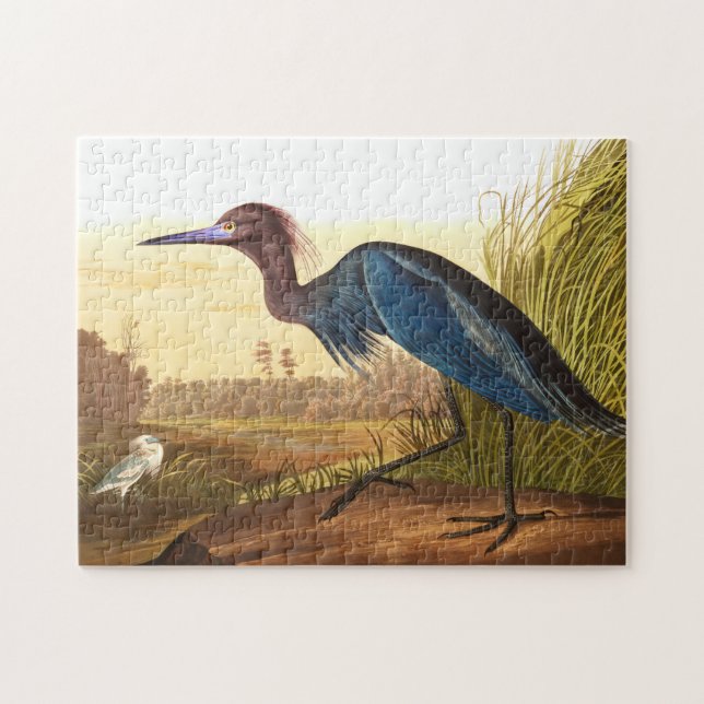 Blue Crane eller Heron av John James Audubon Pussel (Horisontell)