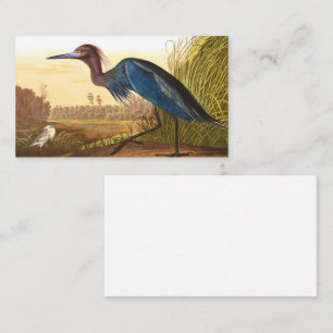 Blue Crane eller Heron av John James Audubon Visitkort