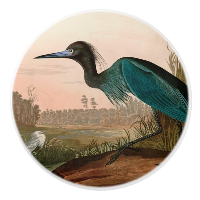 Blue Crane eller Heron Birds of America Audubon Pr Knopp (Framsidan)