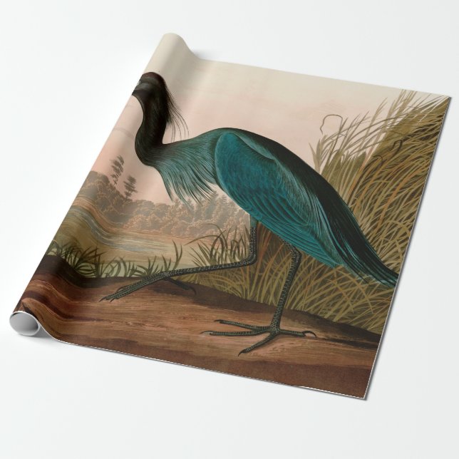 Blue Crane eller Heron Birds of America Audubon Pr Presentpapper (Utrullad)