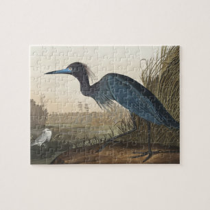 Blue Crane eller Heron från amerikanska fåglar Pussel