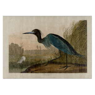 Blue Crane Heron Audubon Painting