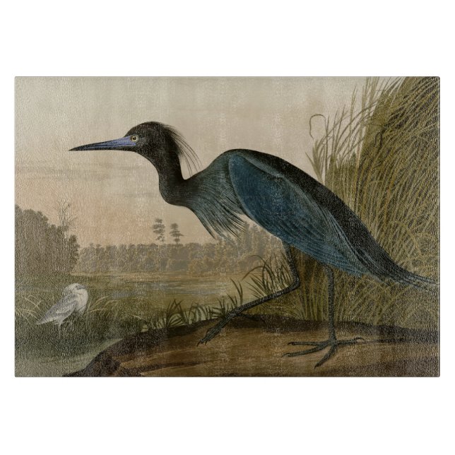 Blue Crane Heron Audubon Painting (Framsidan)